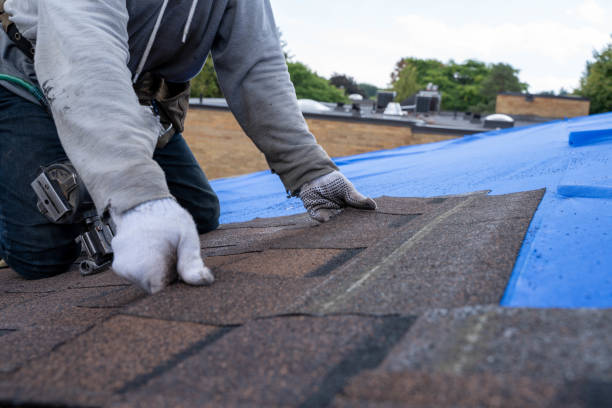 Best Roof Gutter Cleaning  in Sweetwater, TX